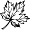Accounting Impots Logo